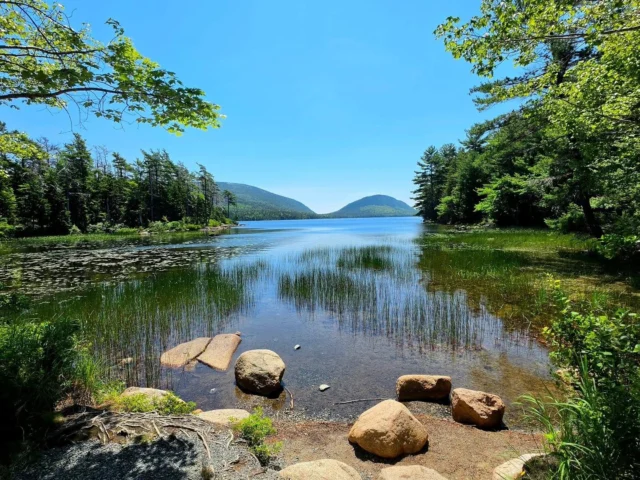 Long weekend. Endless views. Happy hearts. 🌊⛰️🇺🇸
Acadia, you were magical. ✨
.
.
.
.
.
.
.
.
.
.
#AcadiaNationalPark #July4thWeekend #NationalParks #NatureLovers #znltravels